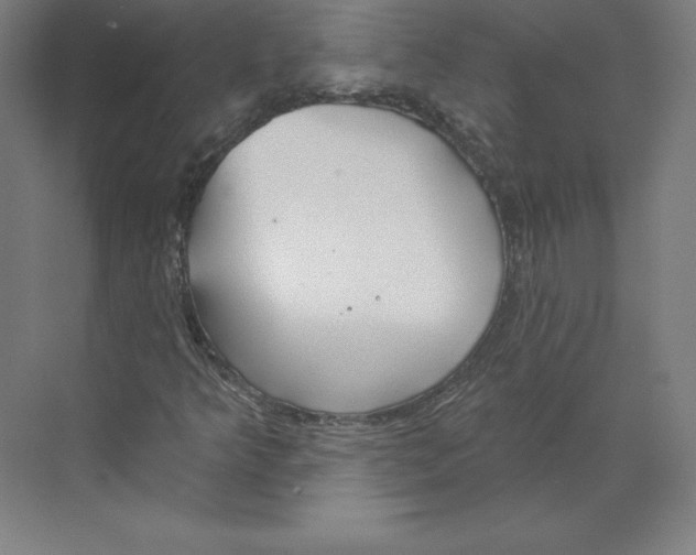 X0000068841349200606021658