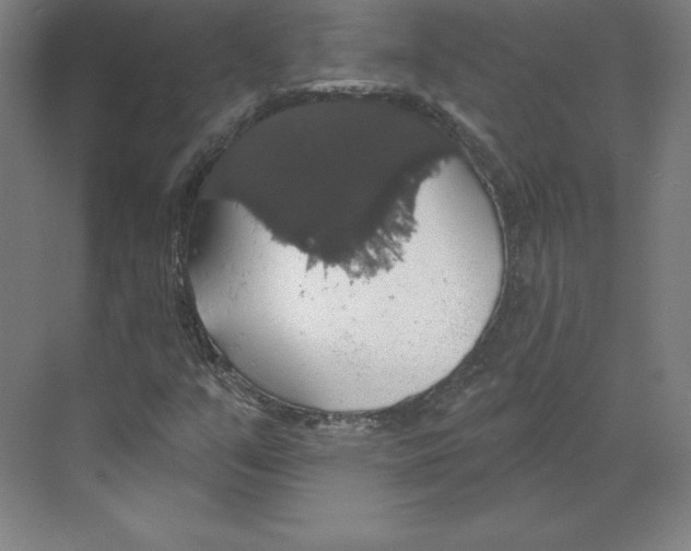 X0000068841351200606021658