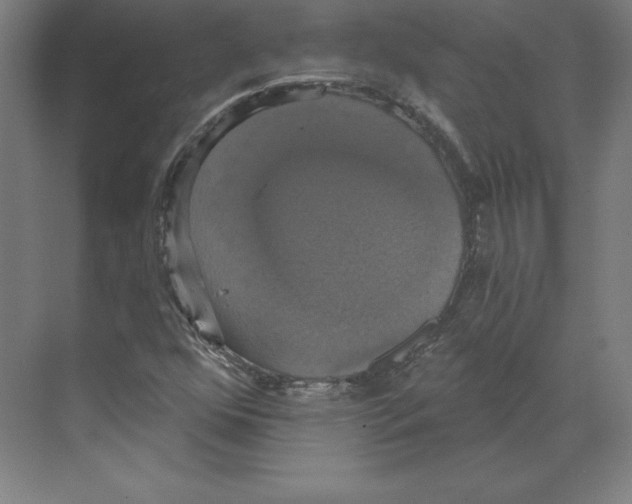 X0000068841352200606021658