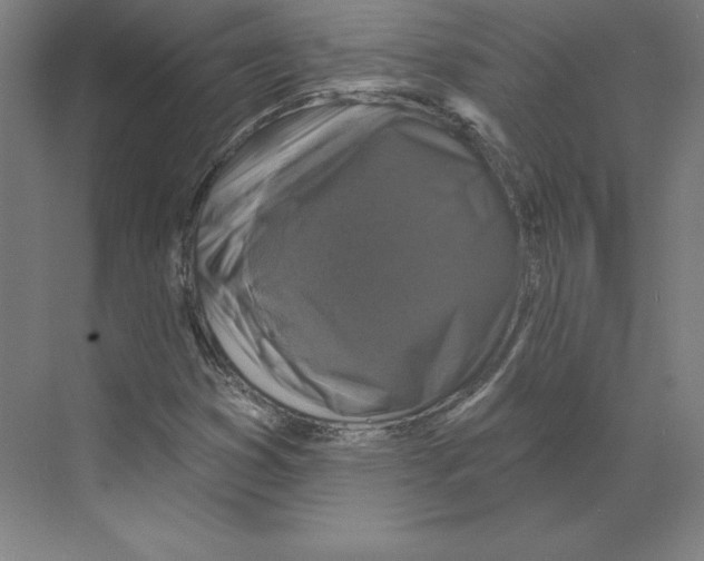 X0000068841353200606021658