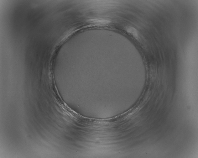 X0000068841354200606021658