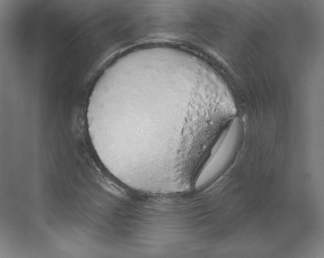 X0000068841355200606021658