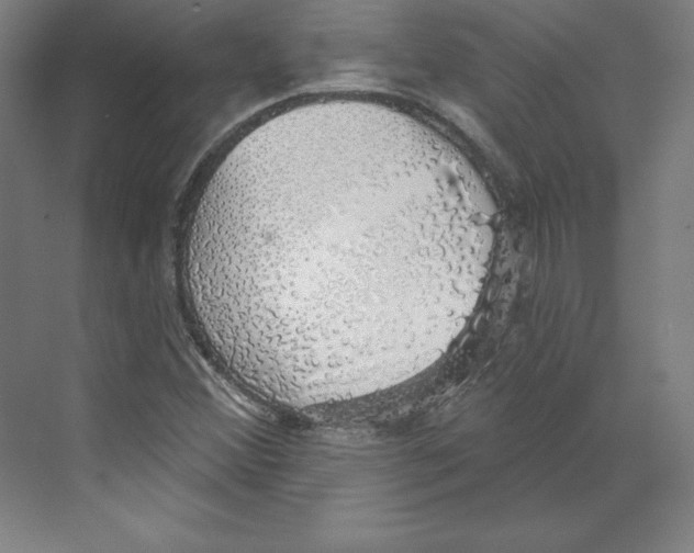 X0000068841356200606021658