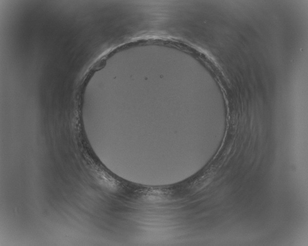 X0000068841359200606021658