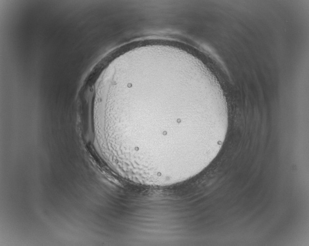 X0000068841360200606021658