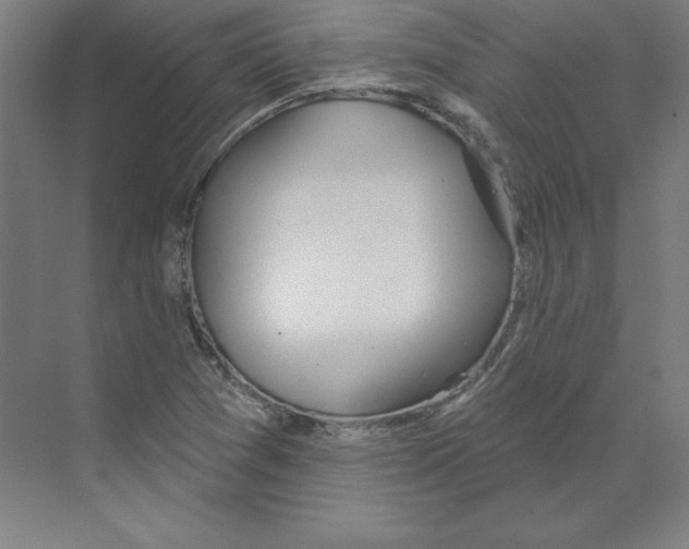 X0000068841361200606021658