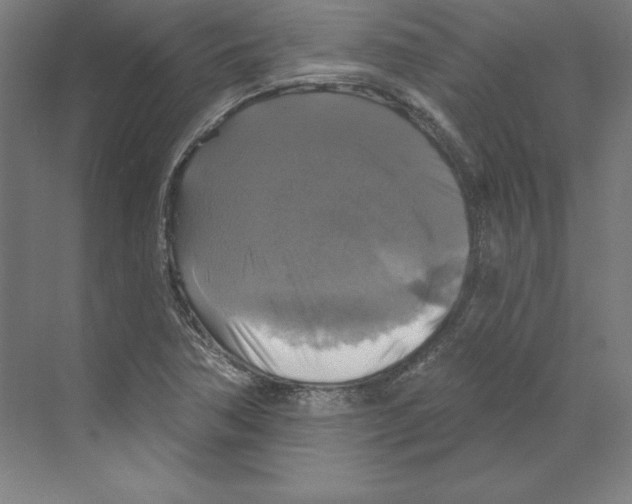 X0000068841362200606021658