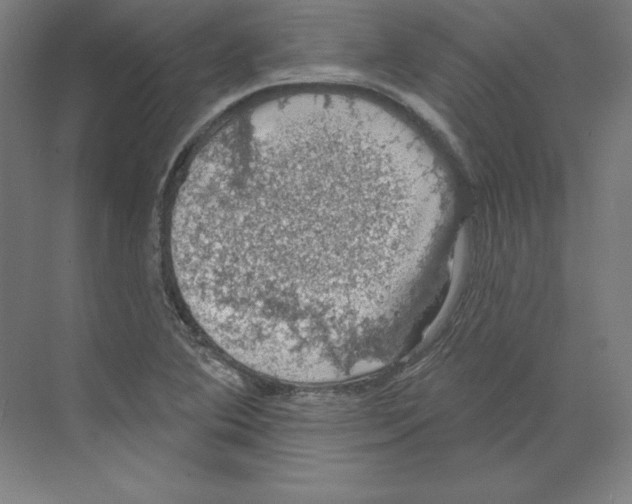 X0000068841364200606021658