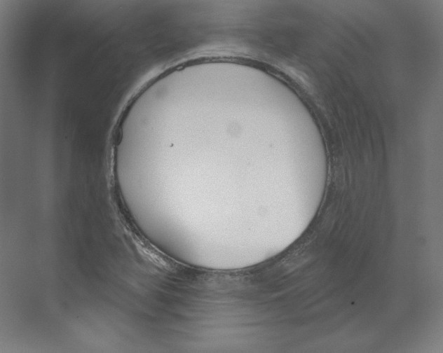 X0000068841366200606021658