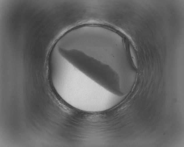 X0000068841367200606021658