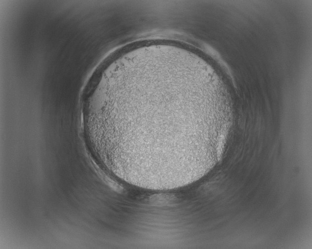 X0000068841368200606021658