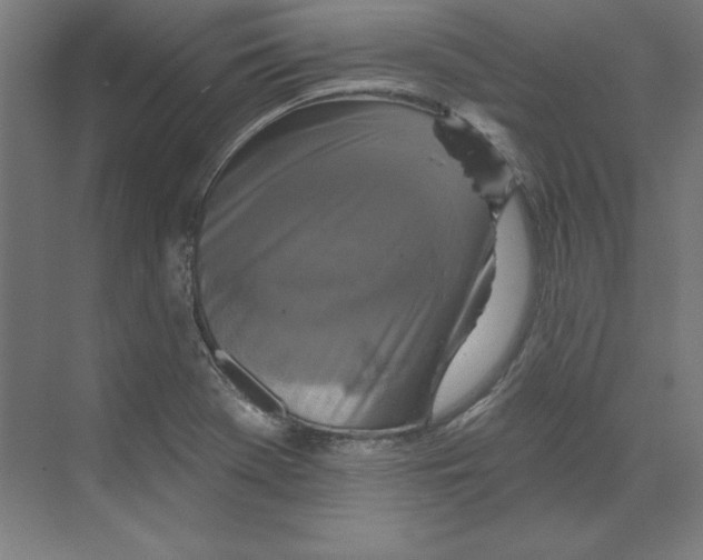 X0000068841369200606021658