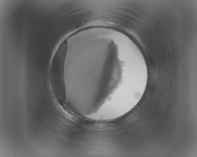 X0000068841371200606021658