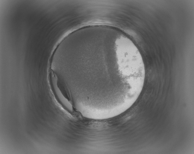 X0000068841374200606021657