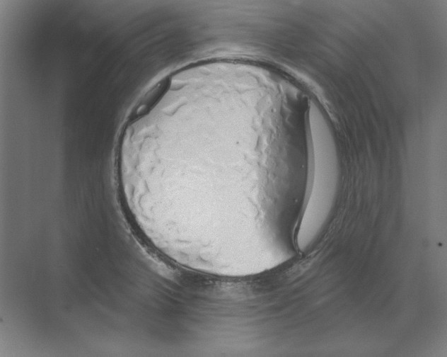 X0000068841375200606021657