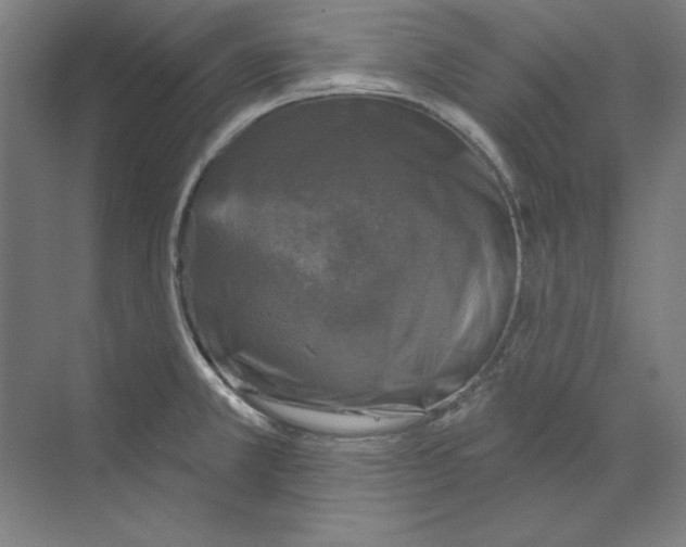 X0000068841381200606021657