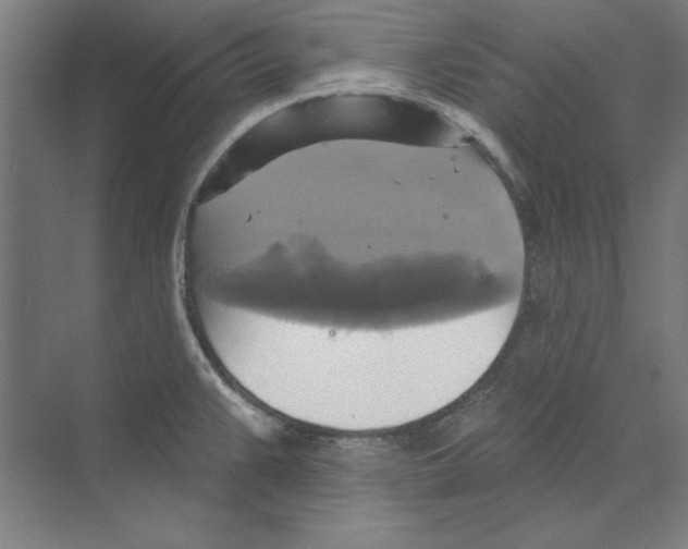 X0000068841383200606021657