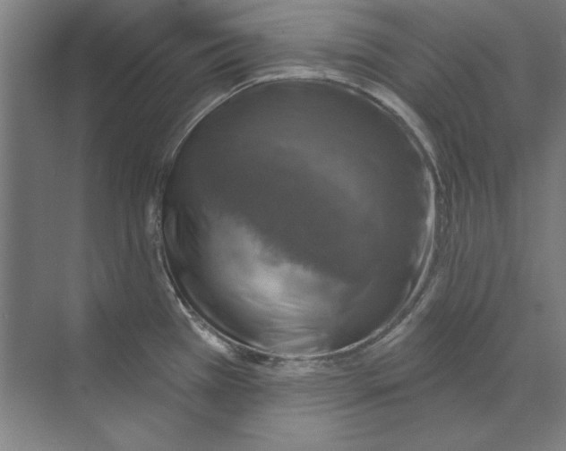 X0000068841385200606021657