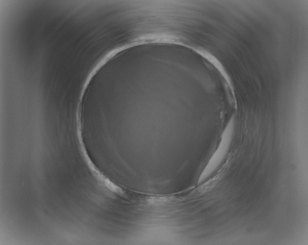 X0000068841389200606021657