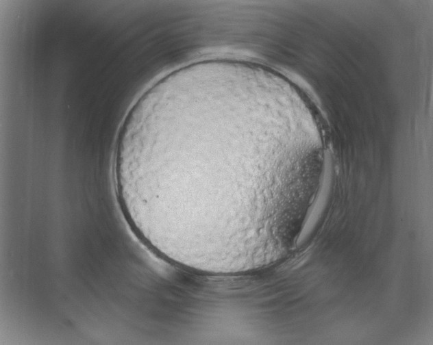 X0000068841391200606021657