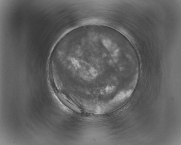 X0000068841392200606021657