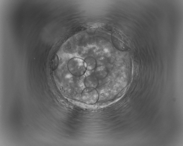 X0000068841393200606021656