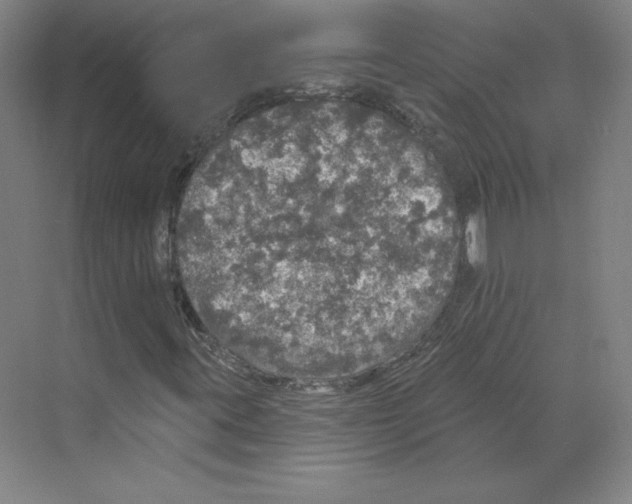 X0000068841395200606021656