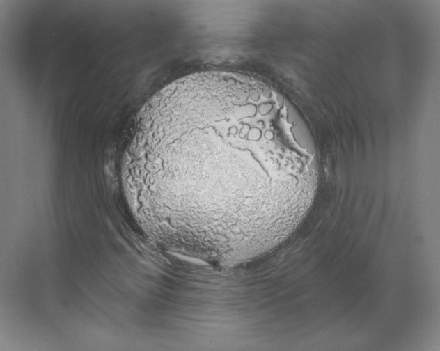 X0000068841396200606021656