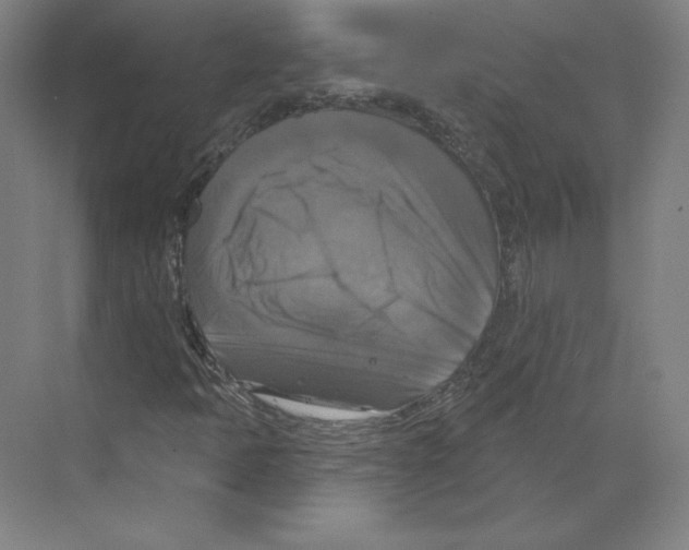 X0000068841397200606021656