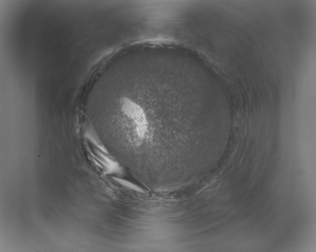 X0000068841398200606021656