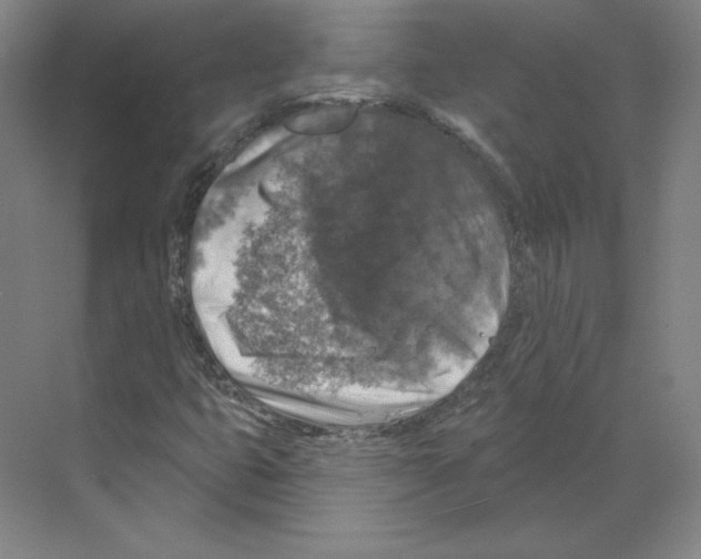 X0000068841399200606021656