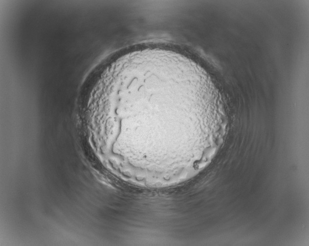 X0000068841400200606021656