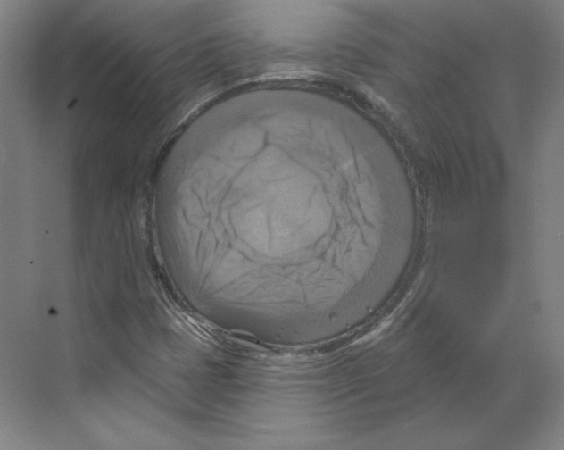 X0000068841401200606021656