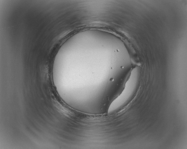 X0000068841402200606021657