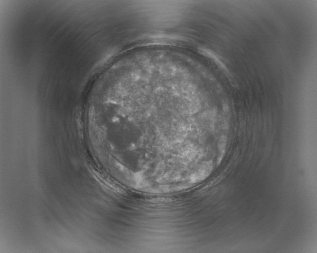 X0000068841403200606021657