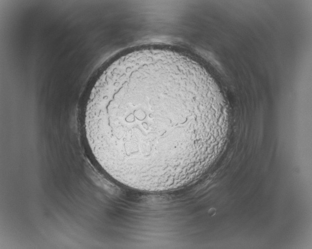 X0000068841404200606021657