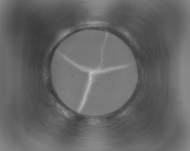 X0000068841405200606021657