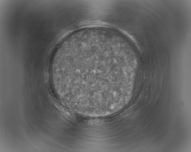 X0000068841407200606021657