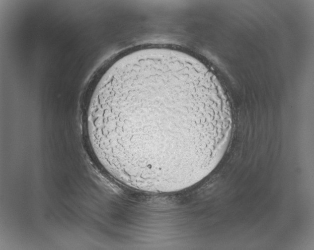 X0000068841408200606021657