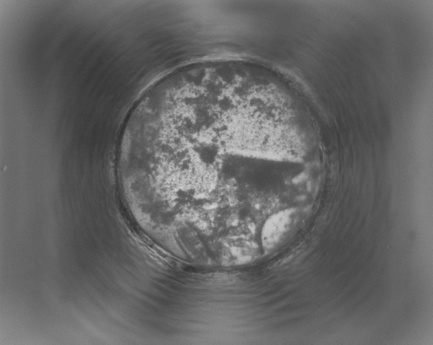 X0000068841409200606021657