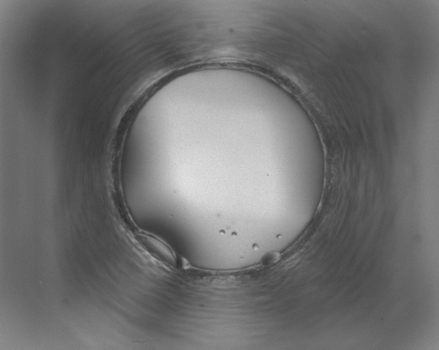 X0000068841410200606021657