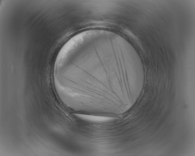 X0000068841411200606021657