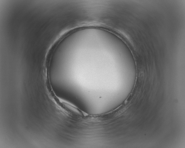 X0000068841414200606021657