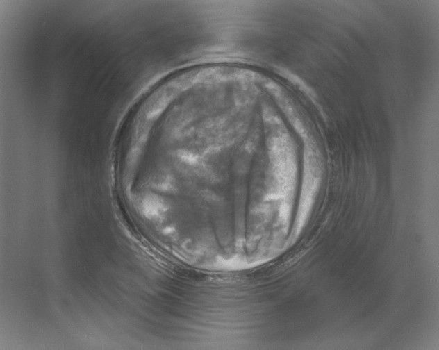 X0000068841415200606021657