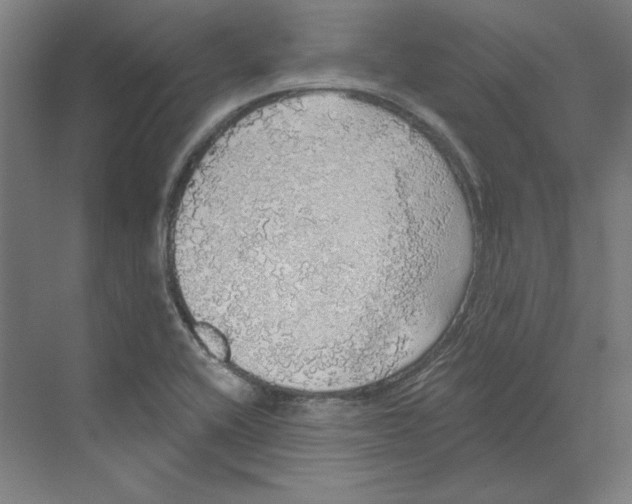 X0000068841416200606021657