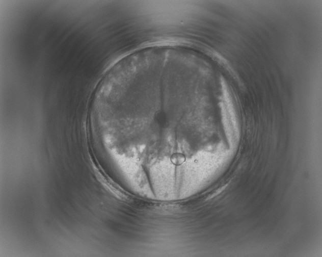 X0000068841417200606021657