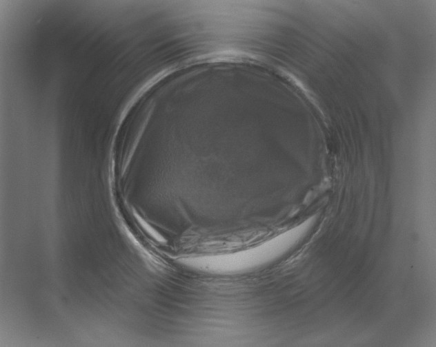 X0000068841418200606021657