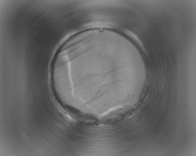 X0000068841419200606021657