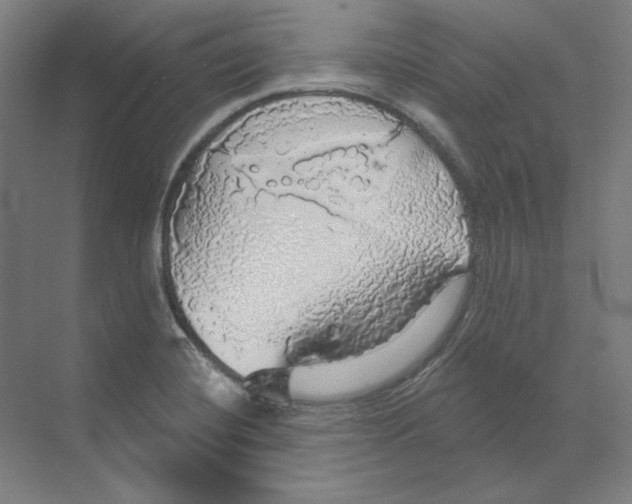 X0000068841420200606021657