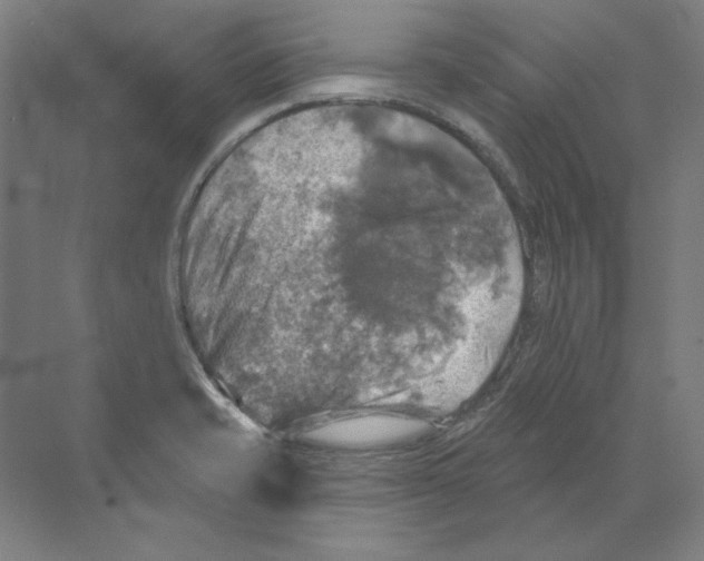 X0000068841421200606021657